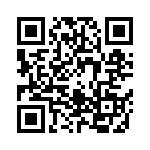 06031C391KAT4A QRCode