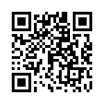 06033C100KAT2A QRCode