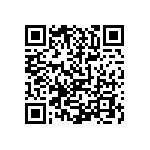 0805J3009P10BQT QRCode