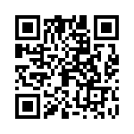 09110006133 QRCode