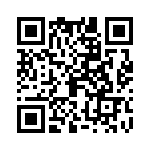 09110006156 QRCode