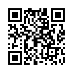 09110006256 QRCode