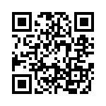 0913065001 QRCode