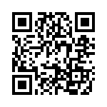 0913171 QRCode