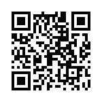 09150006207 QRCode