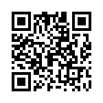 09152000313 QRCode