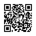 0925-333K QRCode