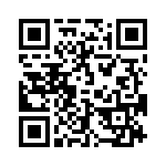 09291305961 QRCode