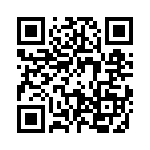 09300060313 QRCode