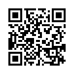 095131009303 QRCode