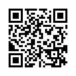 095511009100 QRCode