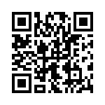 09551666817741 QRCode