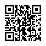 09553666815741 QRCode