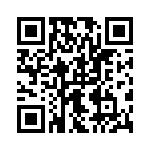 09553666818741 QRCode