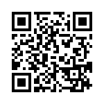 095911009300 QRCode