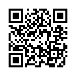 09670250613 QRCode