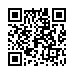 09692009101 QRCode