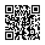 1-1705951-1 QRCode