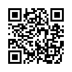 10-101333-321 QRCode