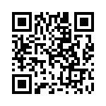 10-9513-10H QRCode