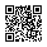 10013B17G01 QRCode