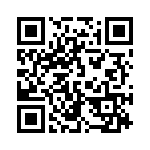 100306 QRCode