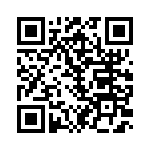 100307QI QRCode