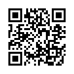 1003P4T1B3M3QE QRCode