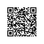 1004P3T1B1M7QEH QRCode