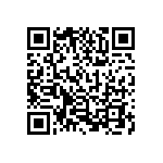 1004P3T8B13M1QE QRCode