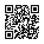 100B300JP500XT QRCode