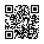 101-0993 QRCode