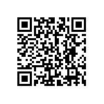 101C113T250DF2B QRCode