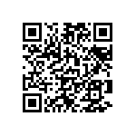 101C291T250AK2B QRCode