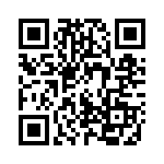 102010128 QRCode