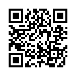 102S42E6R2CV4E QRCode