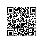 1111J1K00161FQT QRCode