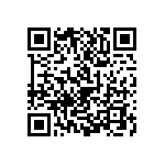 1111J1K00201FQT QRCode