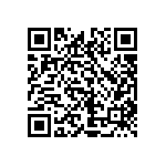 1111J1K06P80DQT QRCode