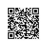 1111J1K0P300DQT QRCode