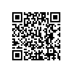 1111J2K02P10DQT QRCode