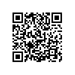 1111J2K02P70DQT QRCode