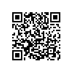 1111J2K03P00DQT QRCode