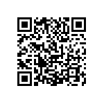 1111J2K03P30DQT QRCode