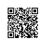 1111J2K05P60DQT QRCode