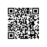 1111J2K0P300DQT QRCode