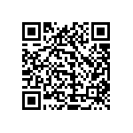 1111Y1000102KQT QRCode