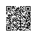 1111Y1K00160GQT QRCode