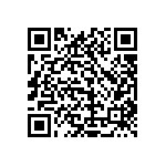 1111Y1K00161FQT QRCode