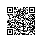 1111Y1K00510KQT QRCode